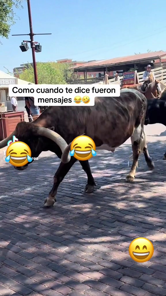 @kevin.martinez8805