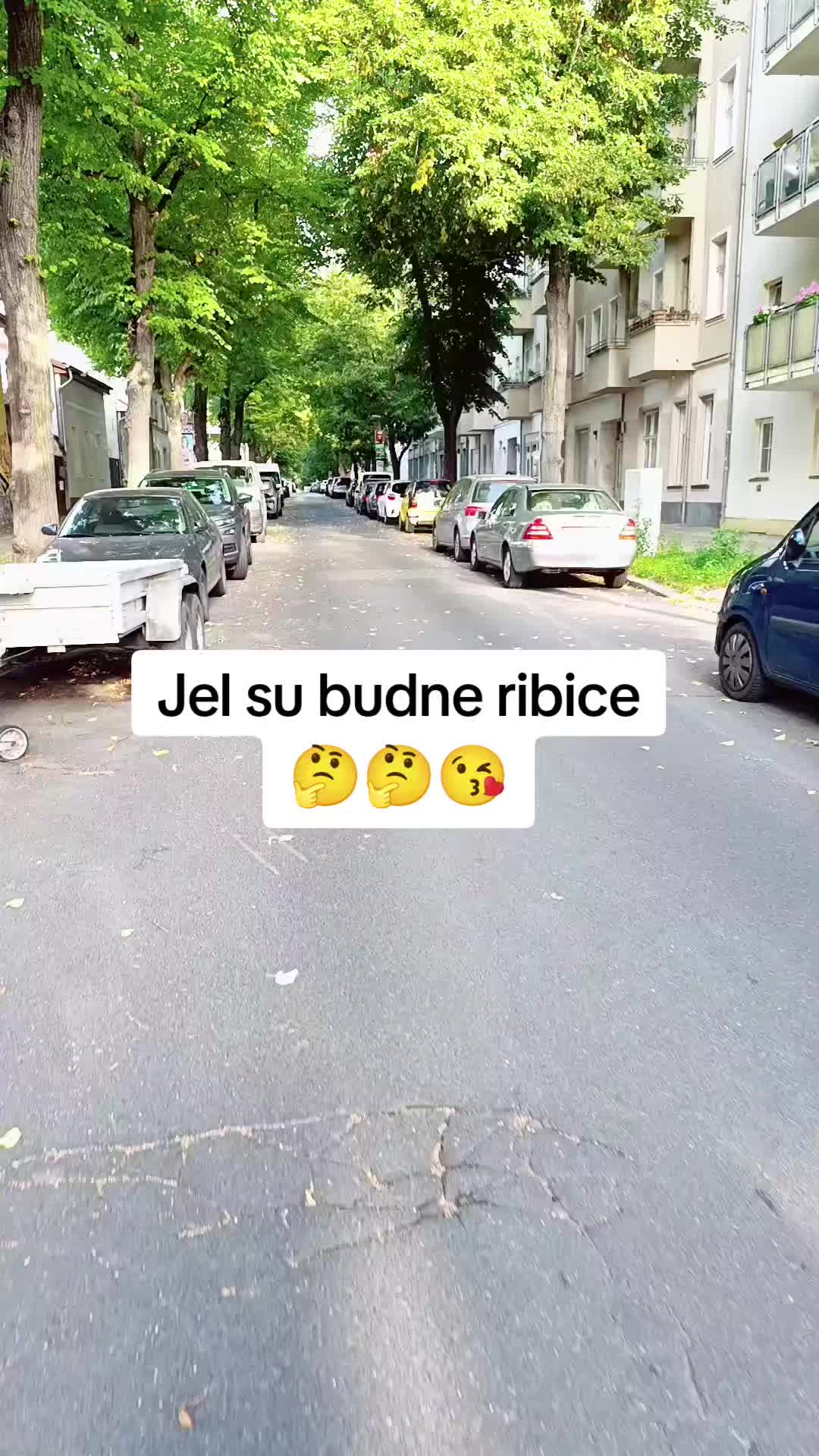 @Paunović..🙂😉😉