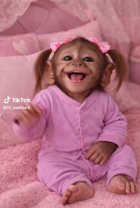 @Maya Mihail Marinovi