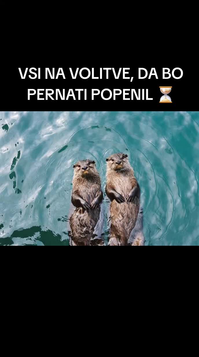 @Top zabava 😃