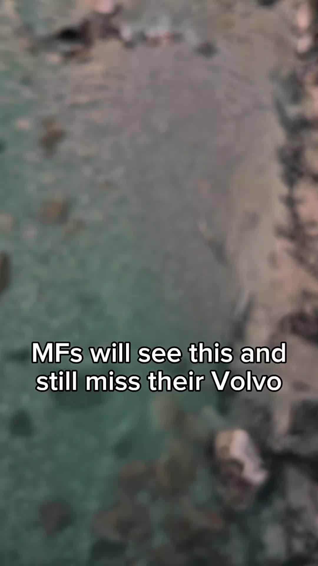 @Froggie Volvo #FCKNZS