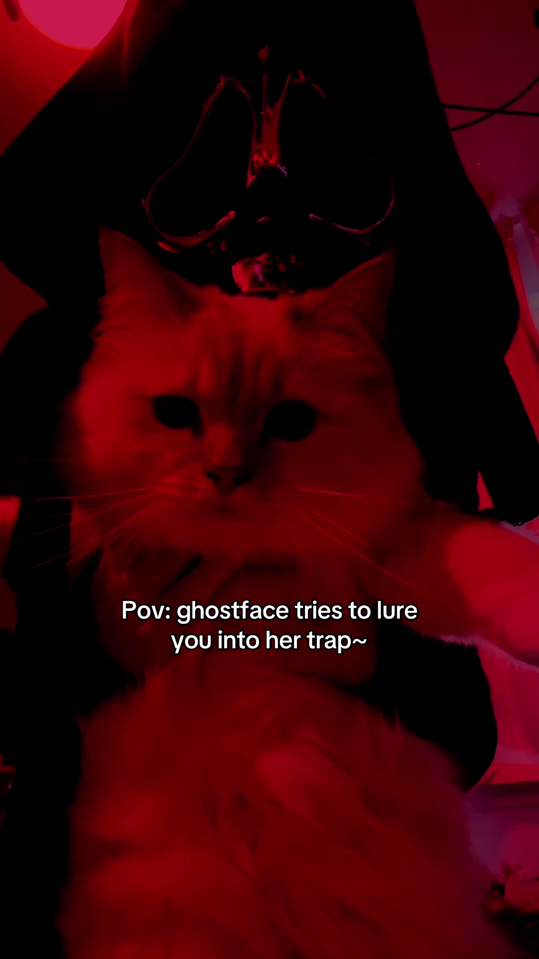 @Ghostgirly~