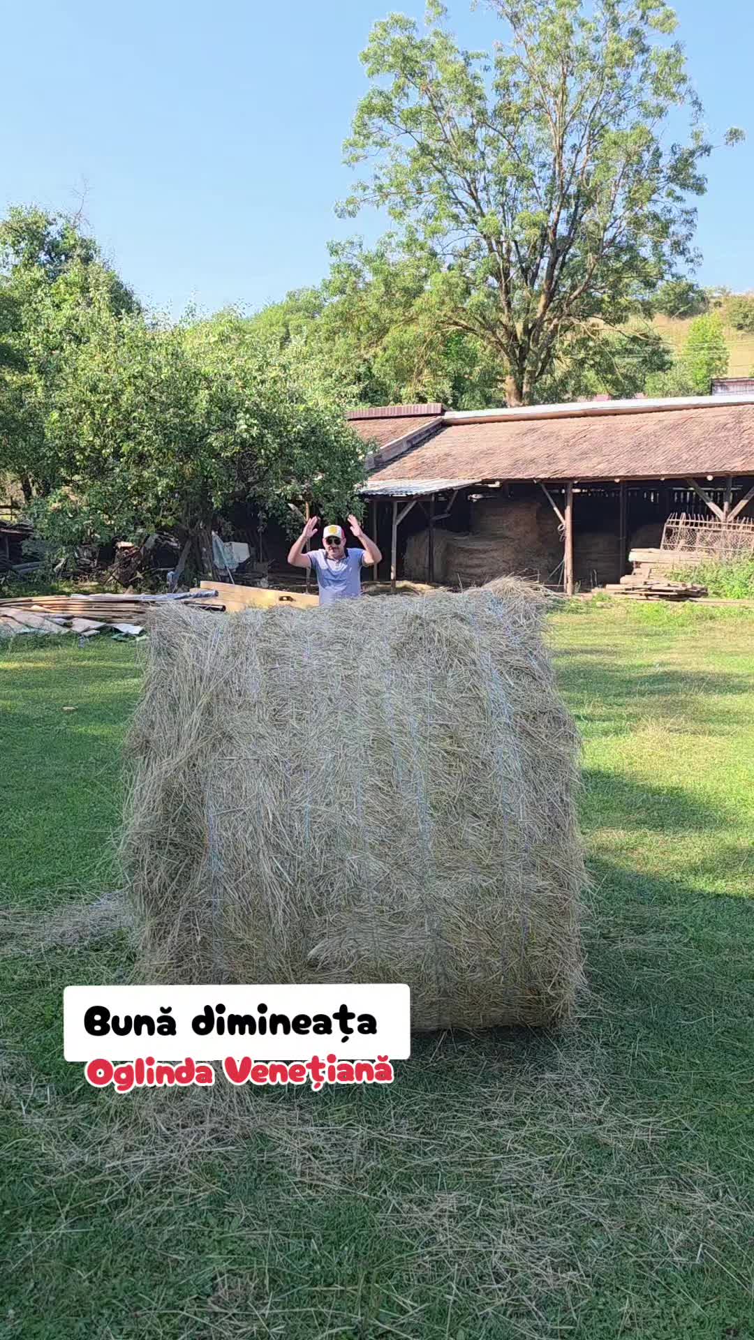 @OglindaVenetiana