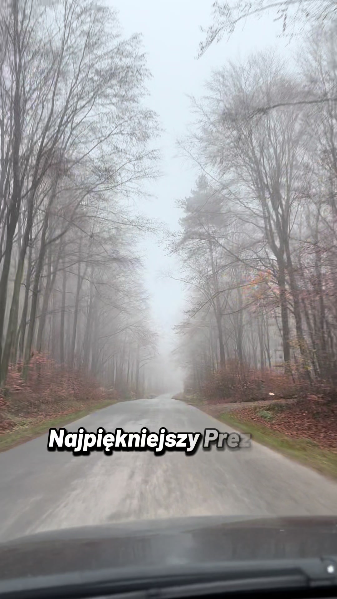@Sylwia