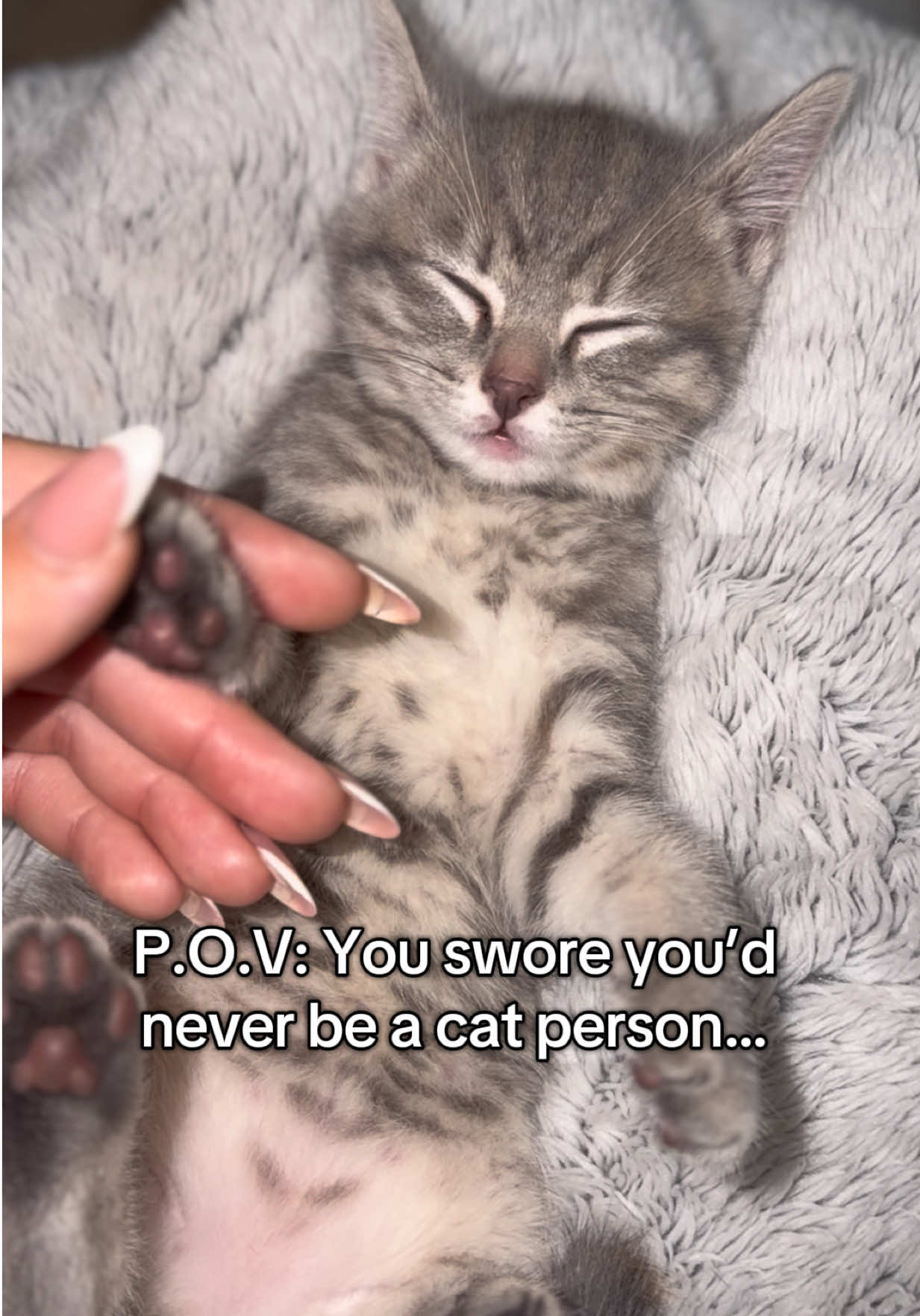 @Pawfect By Abbie