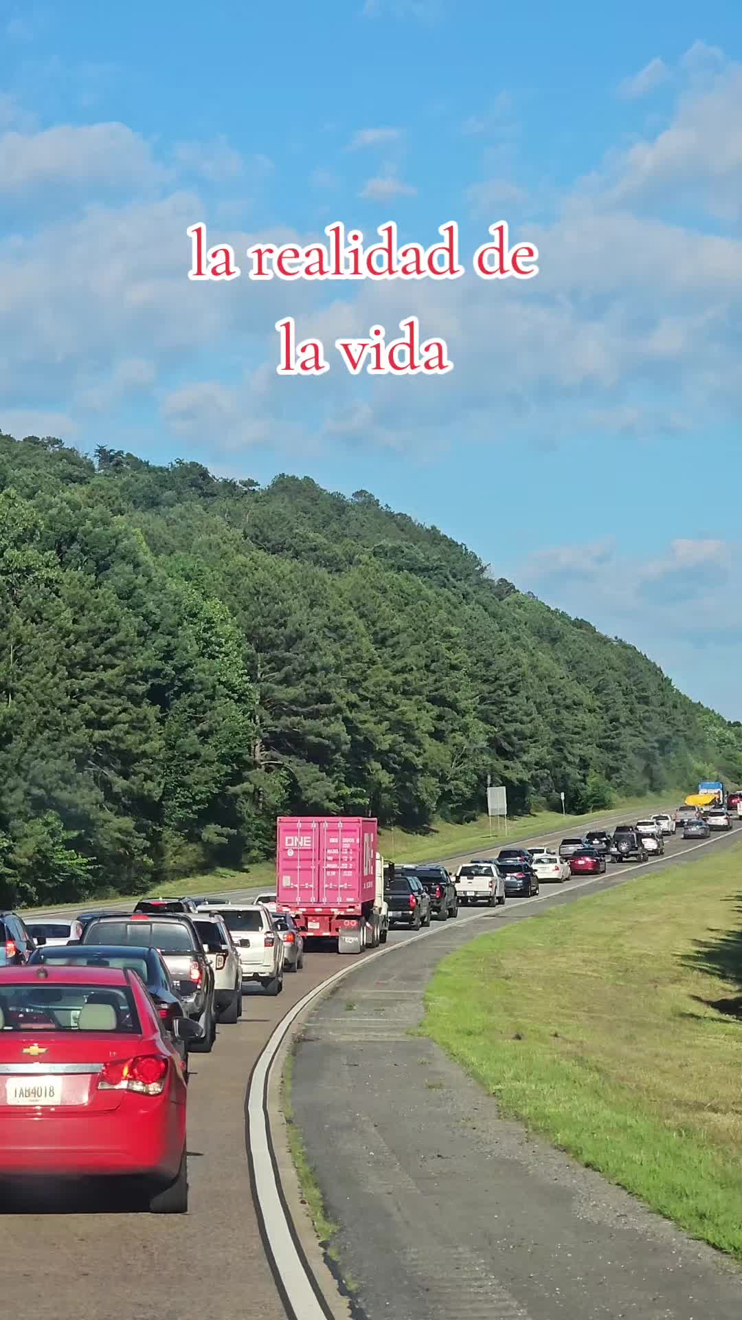@luisjuarez691