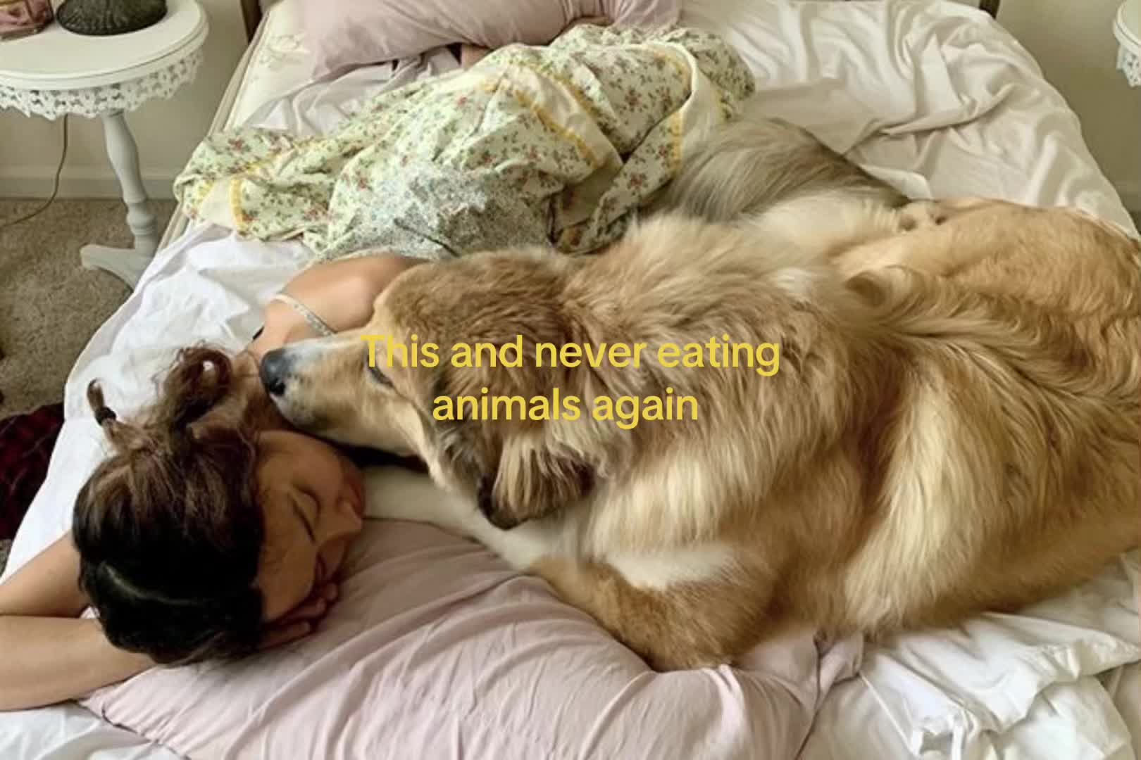 @Z