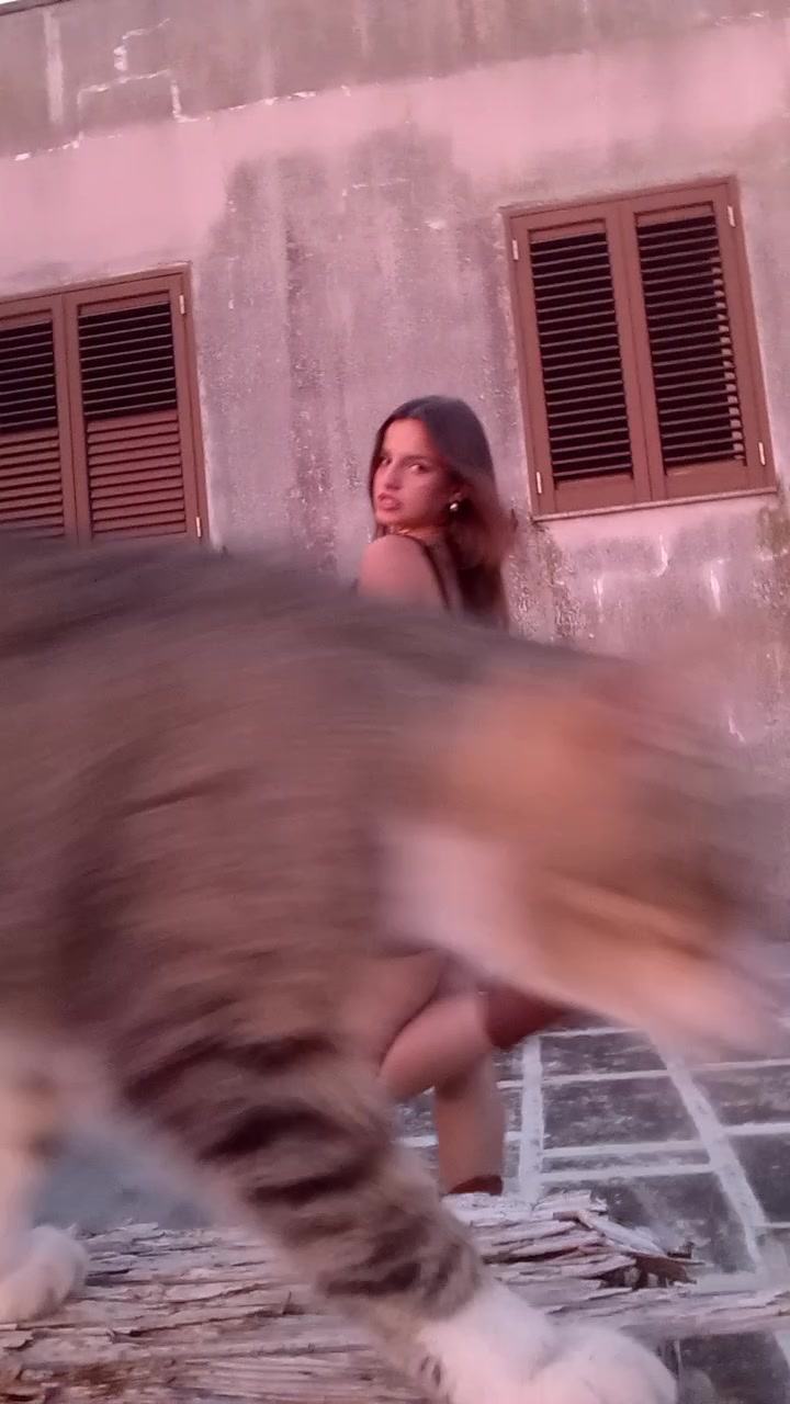 @letispammm🐈⬛