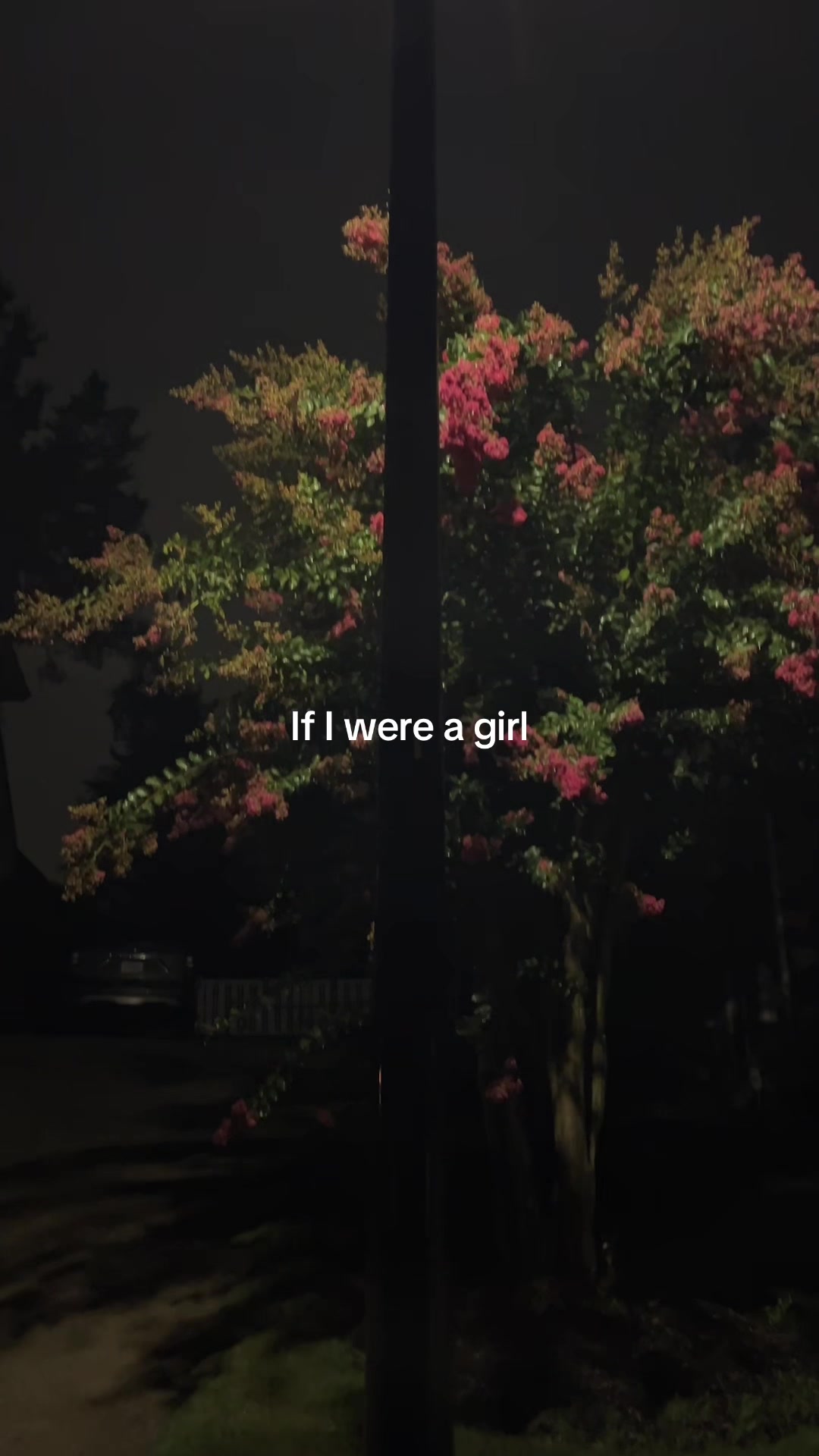 @ryan 🤫