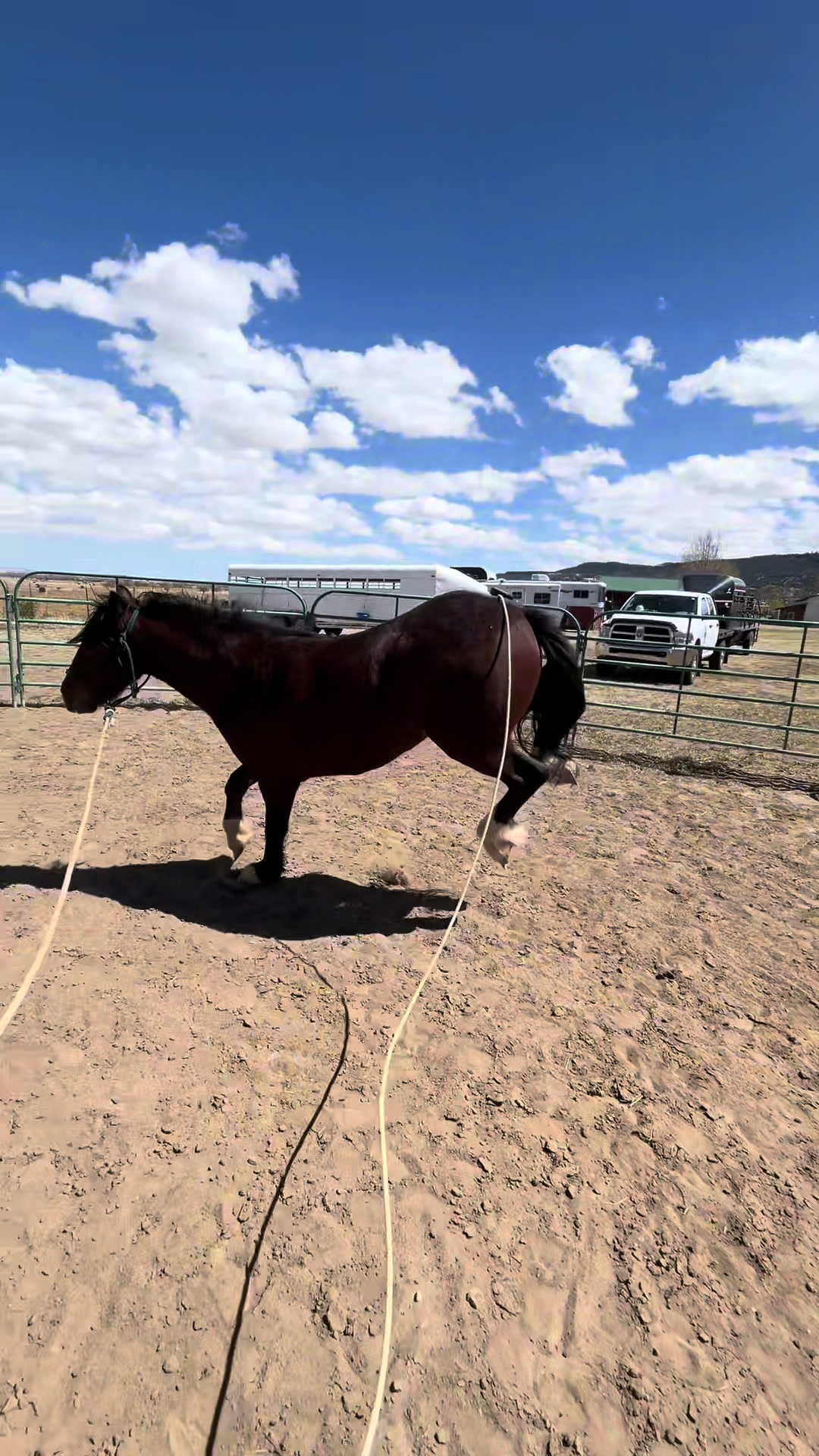 @cowgirlcommentary
