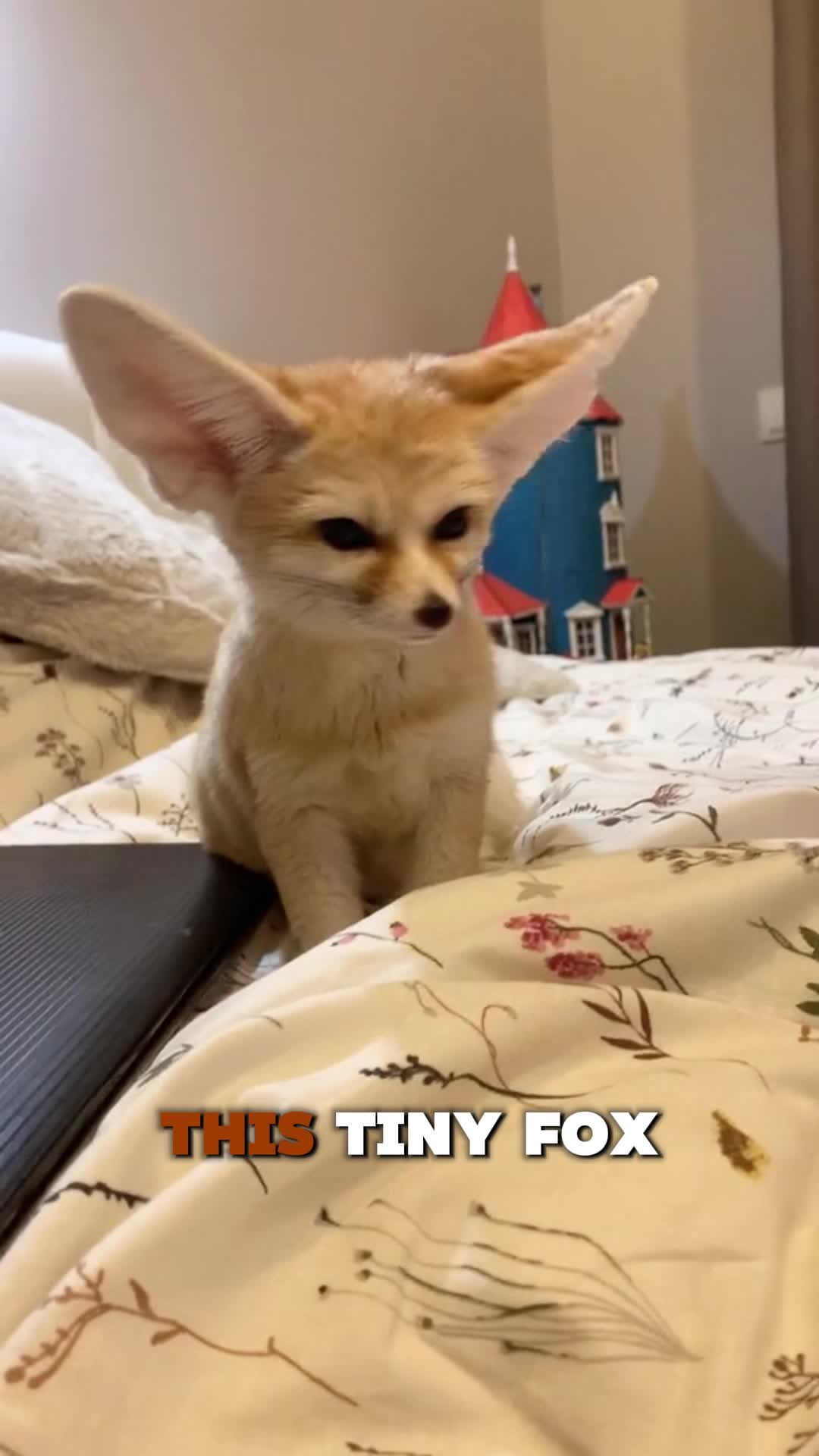@PawblemsDaily