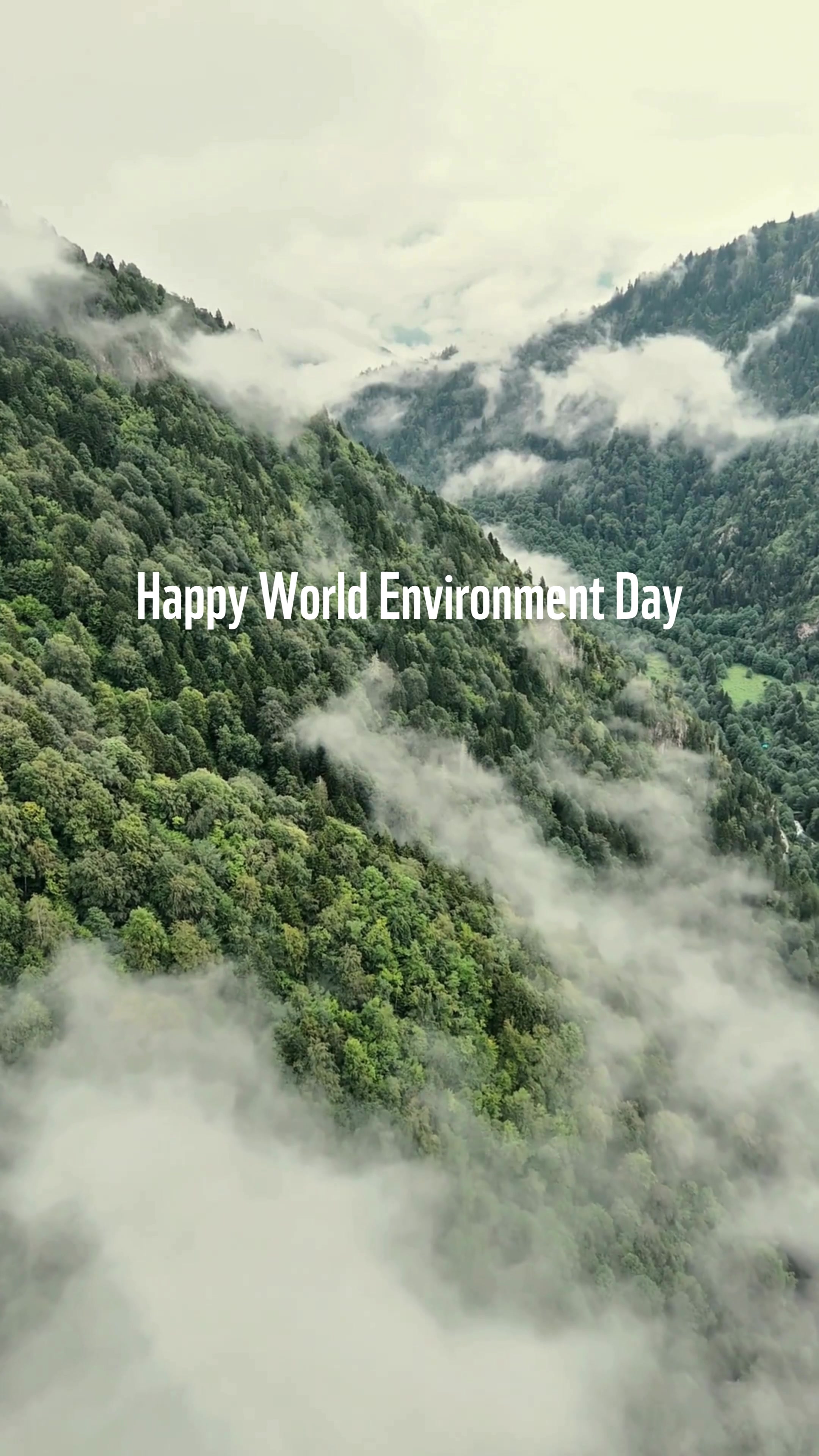 @WWF Sweden Youth
