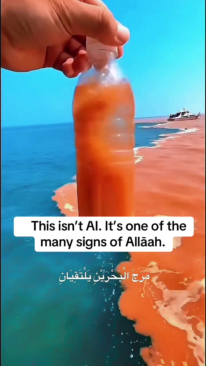 @Mukhlis Ibn Ali