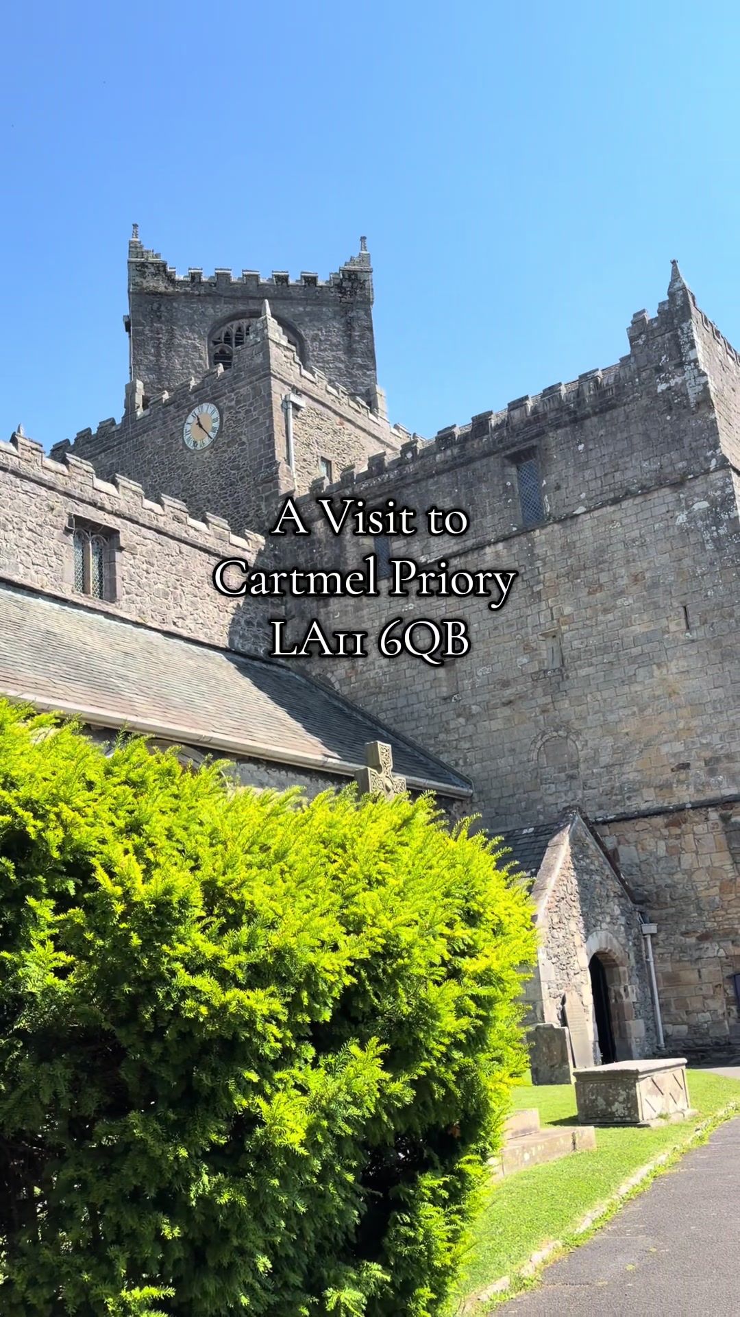 @Ellie’s Wolf Travel 🐺