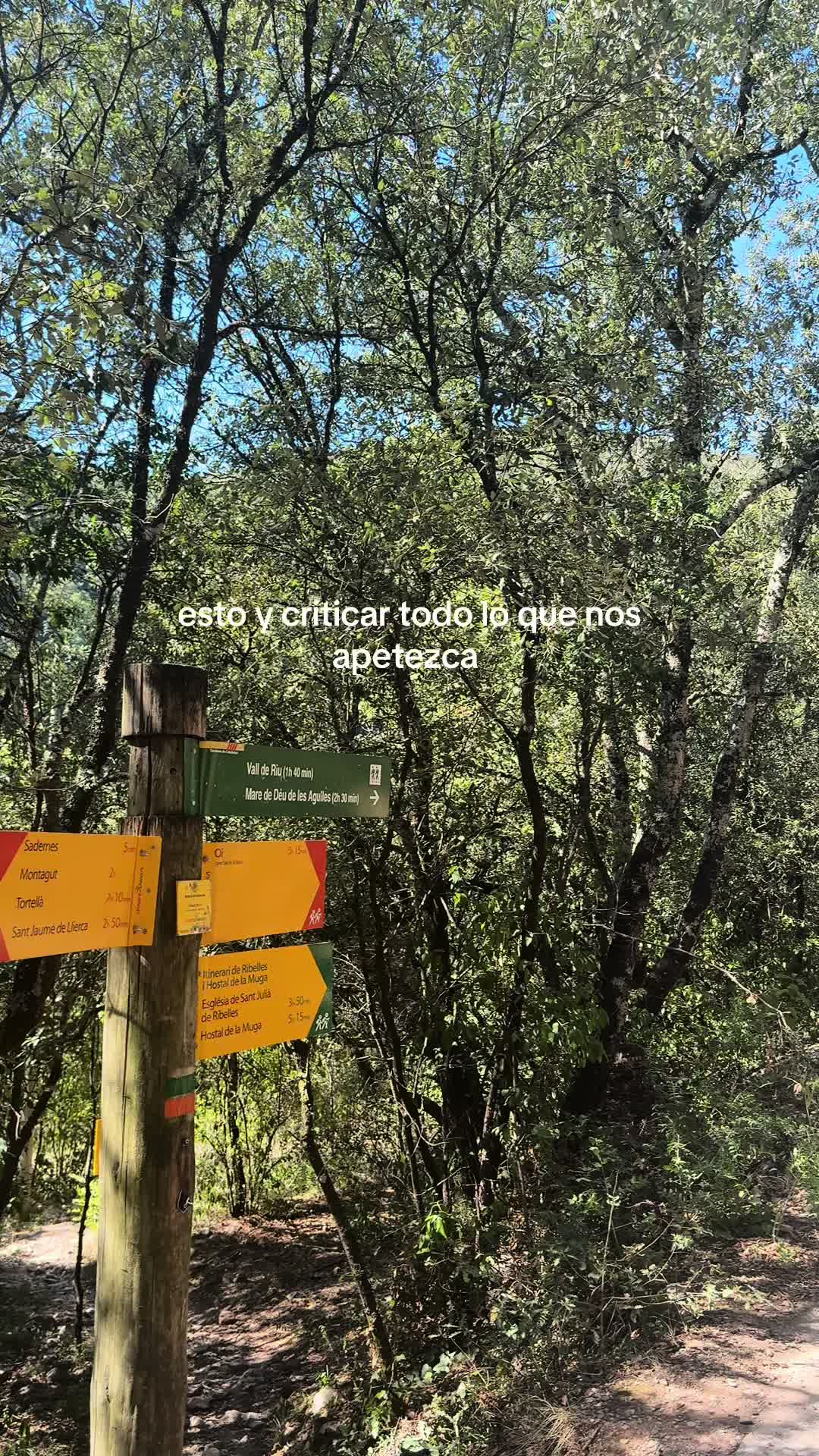 @lauu