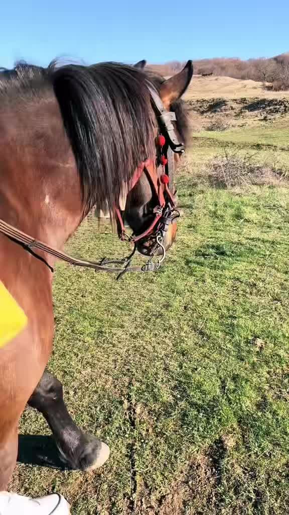 @Nebunatica mau mauuuuš