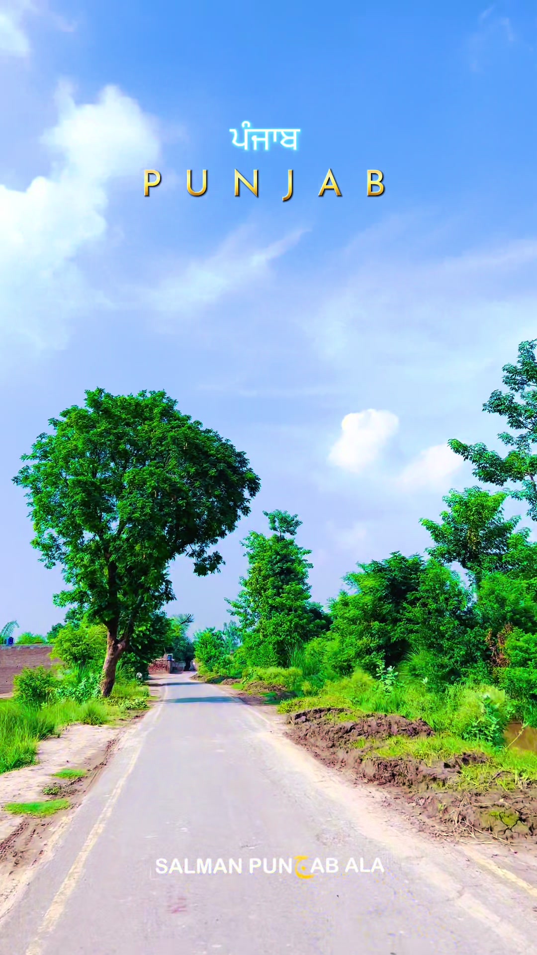@Salman punjab ala