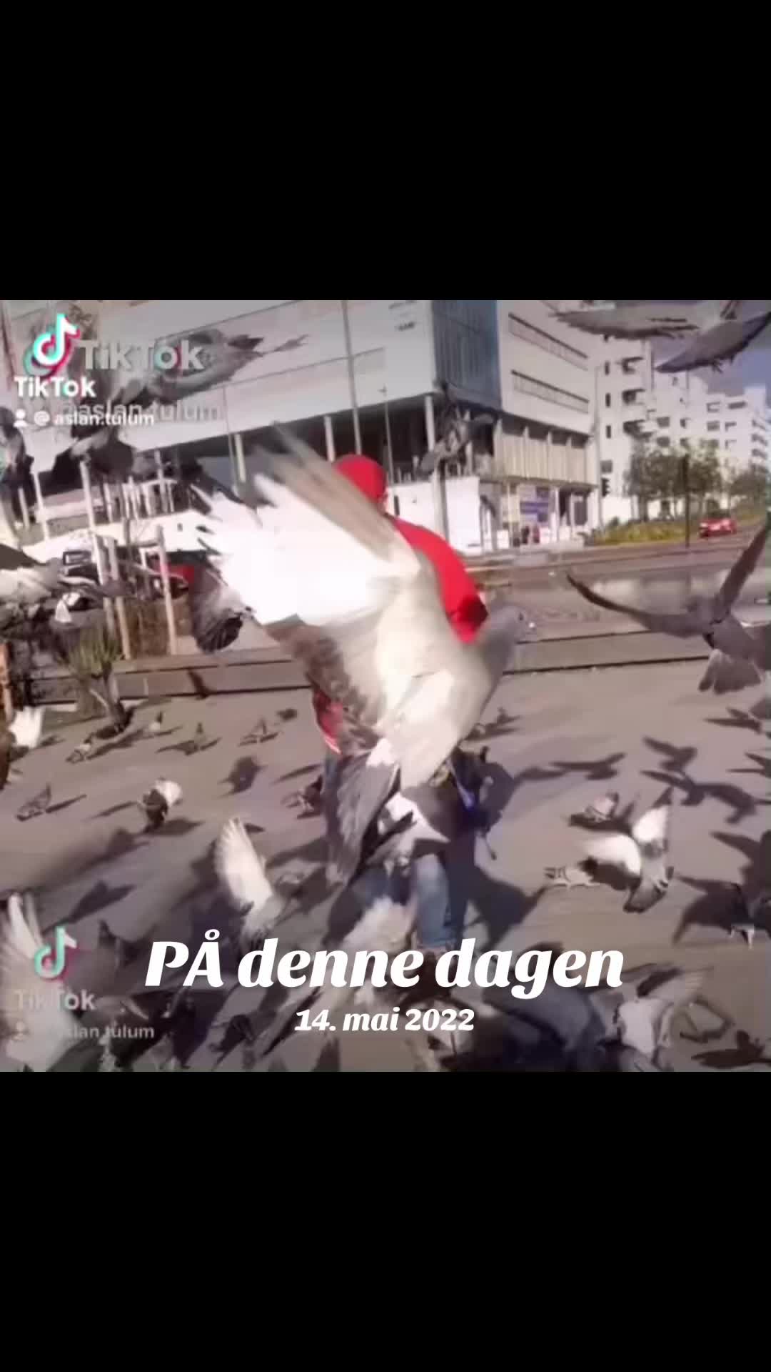 @Aslan.Oslo