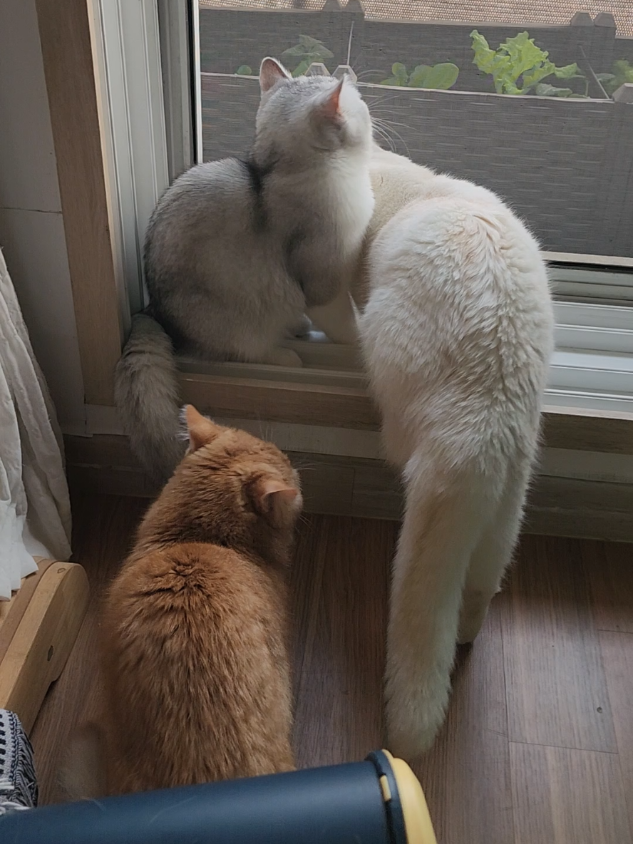 @박씨 거실