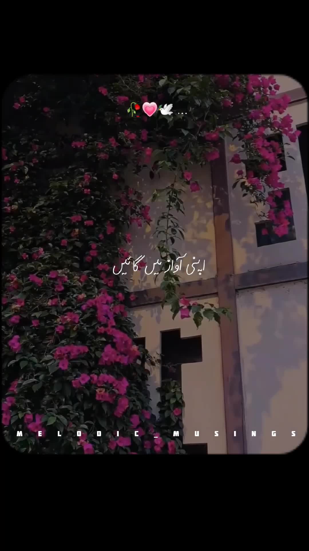 @Melodic Musings🎧🥀