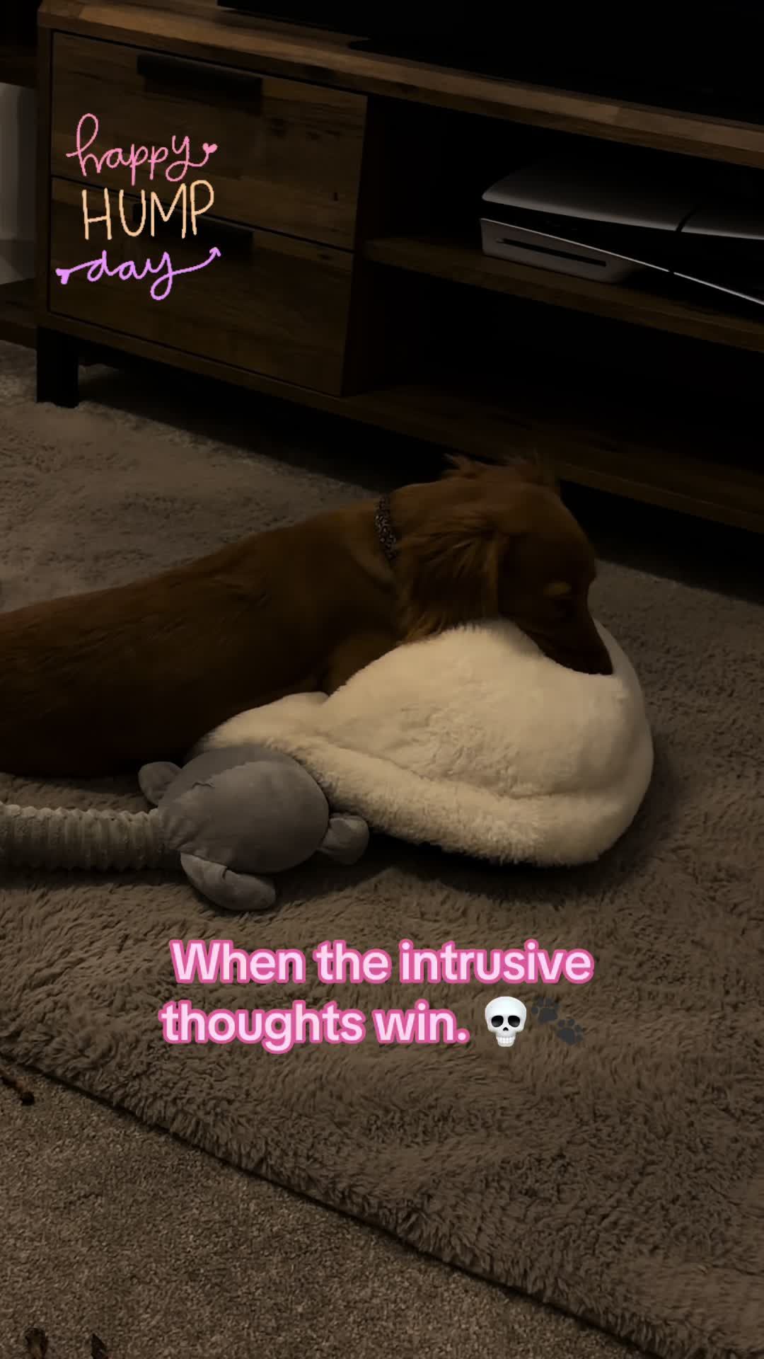 @thedelilahdiariess
