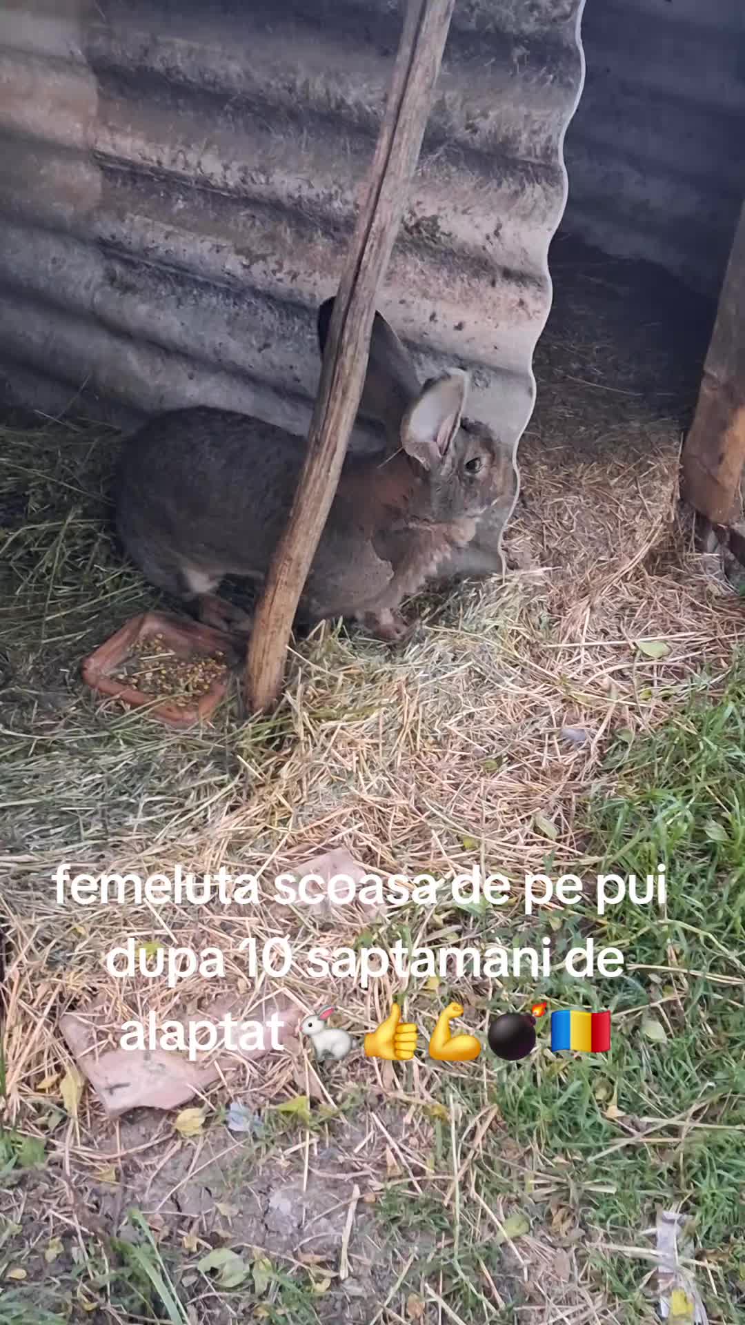@giovannigiova