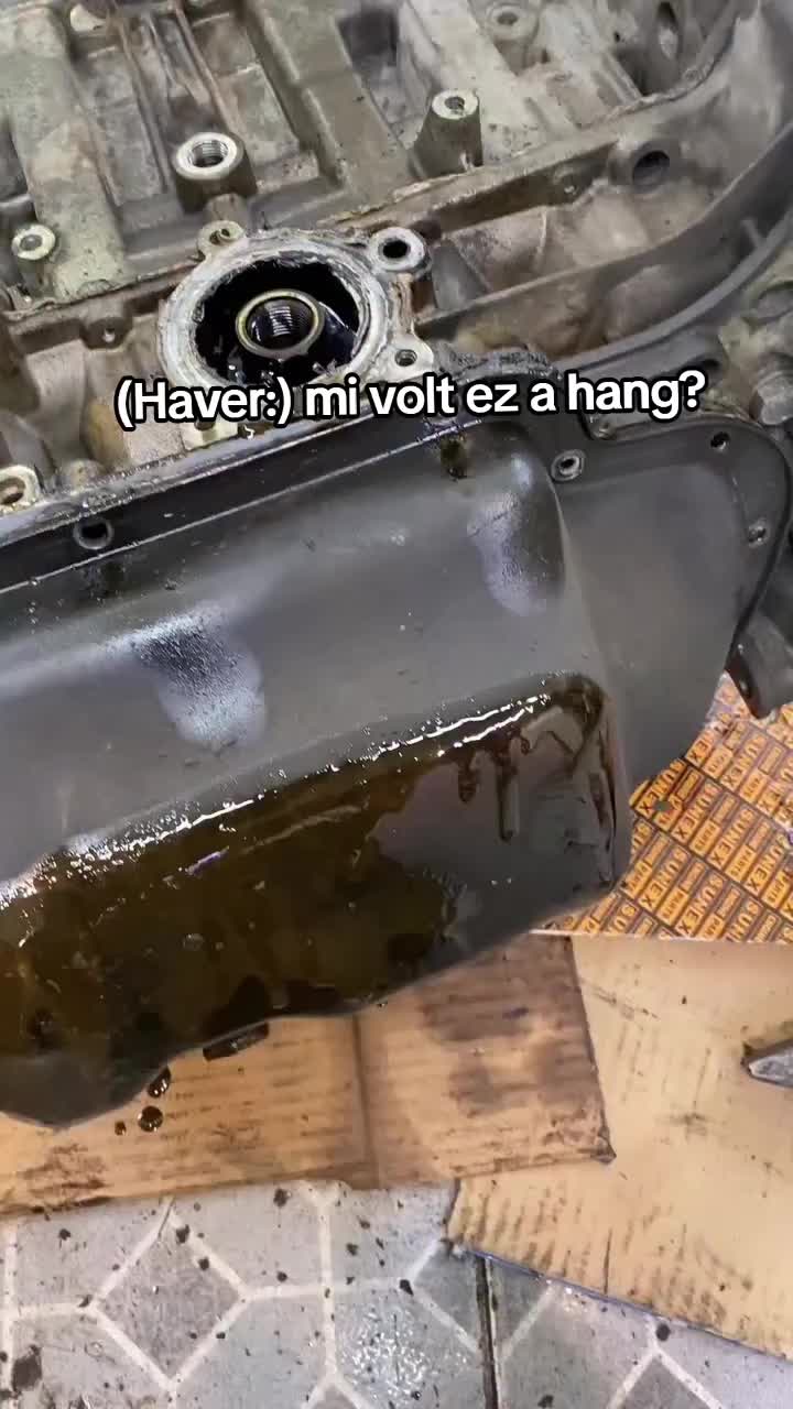 @Nemes Dávid
