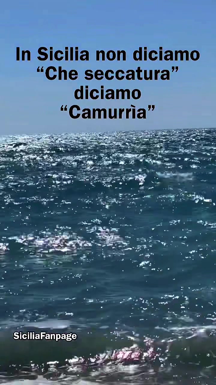 @Ciccio Pino
