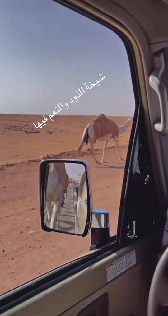 @⭐️⭐️⭐️نجمة&ensp;الهيلا&ensp;وبس&ensp;&ensp;⭐️(١)⭐️