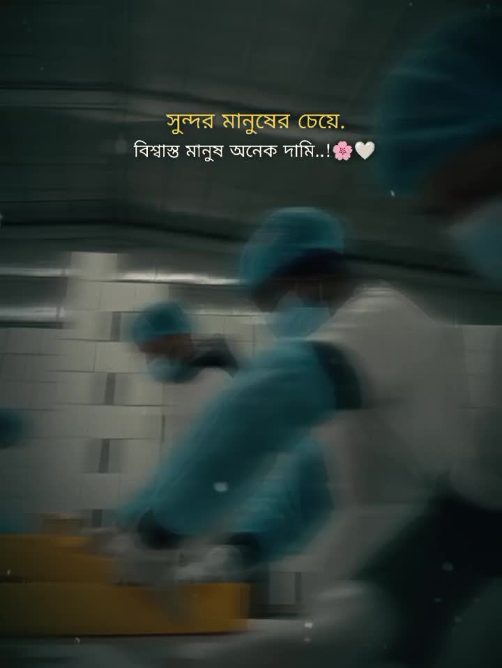 @Sabbir Rahman