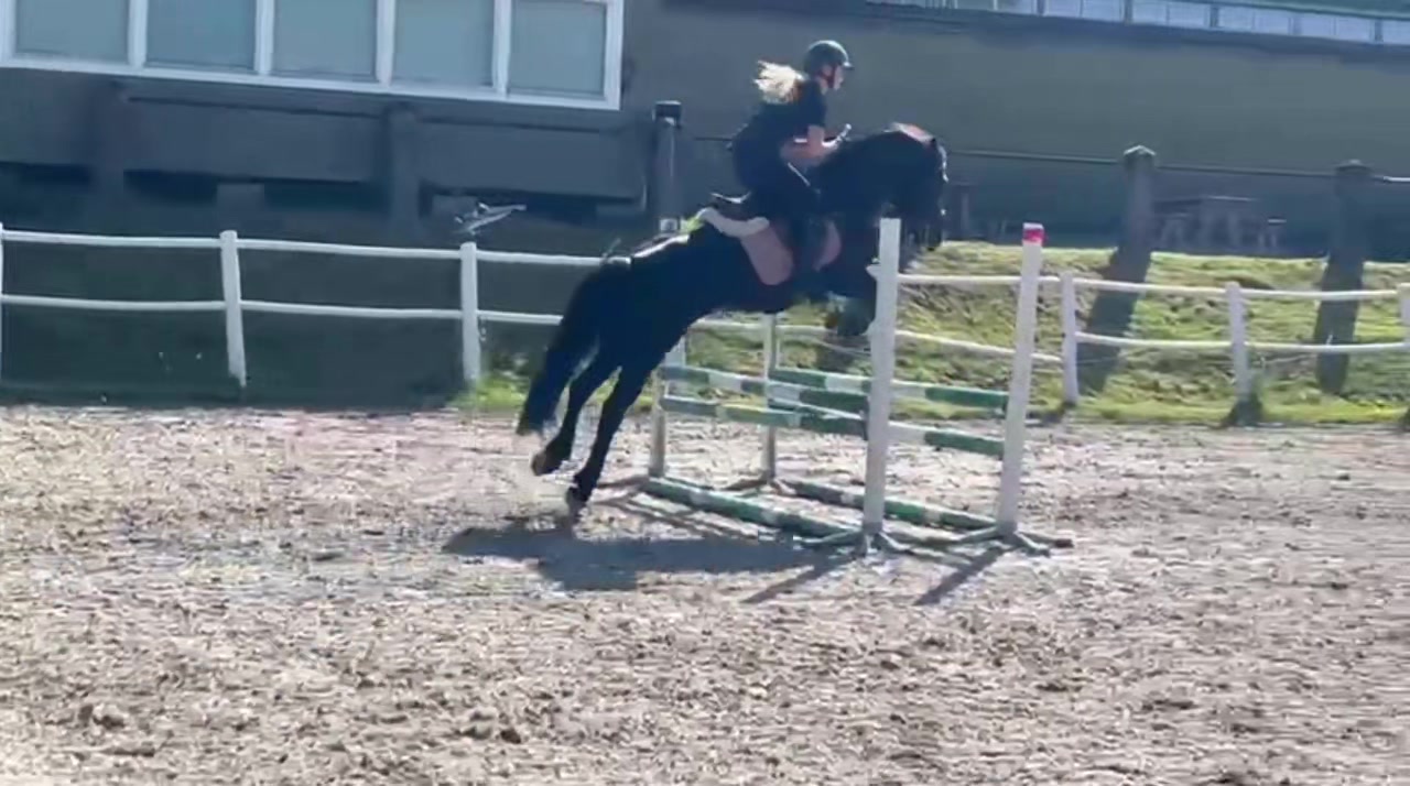 @Coreen Grønvold Belgen🇳🇴