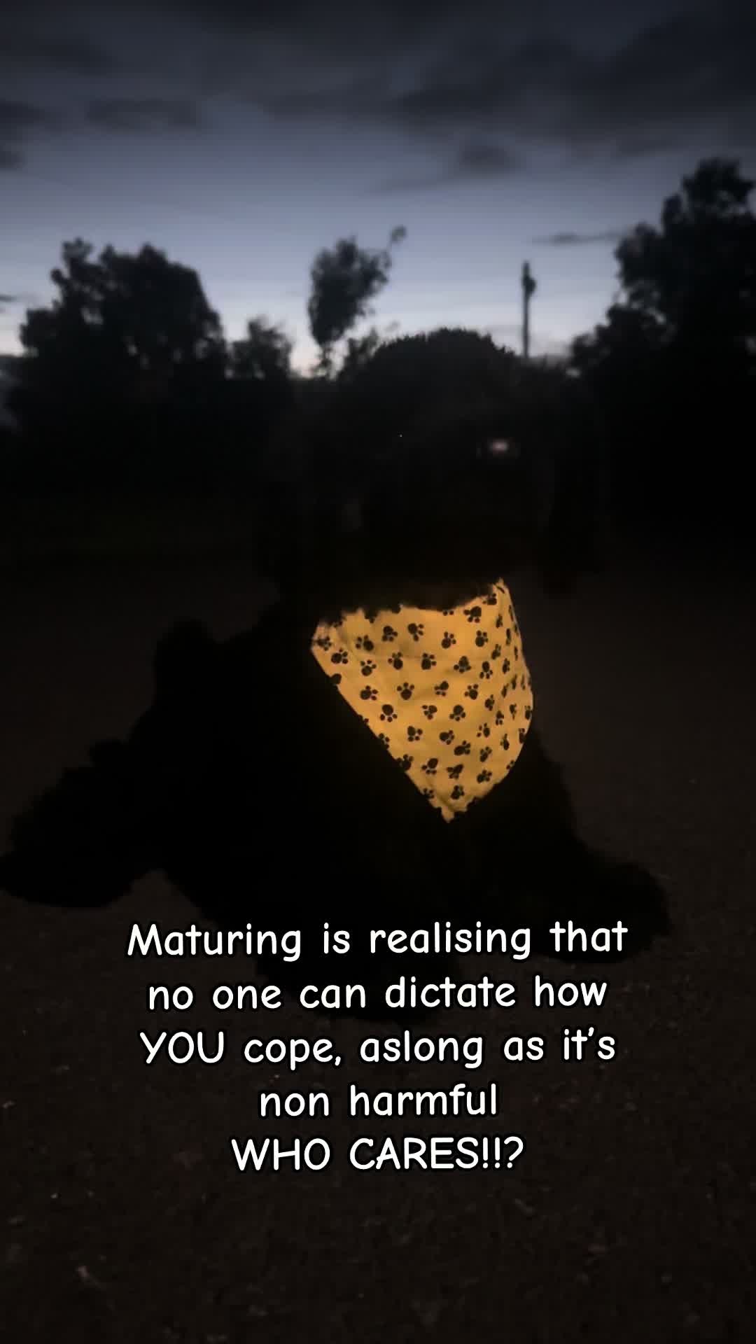 @⸝⸝𝐌𝐢𝐥𝐨.ᐟ.ᐟ ˙𐃷˙