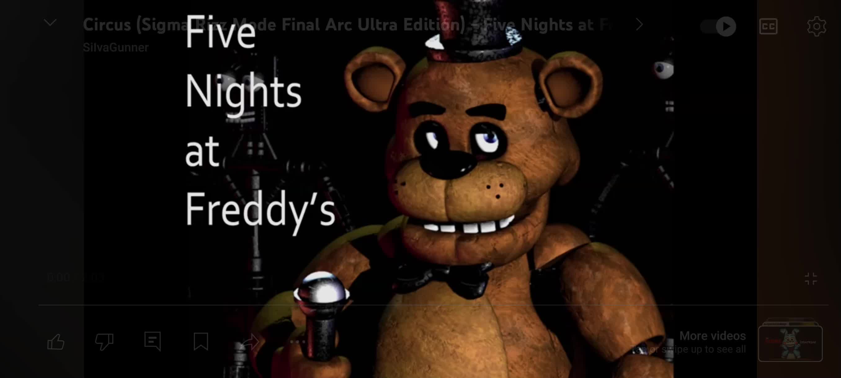@bear5