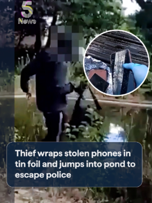 @Channel 5 News