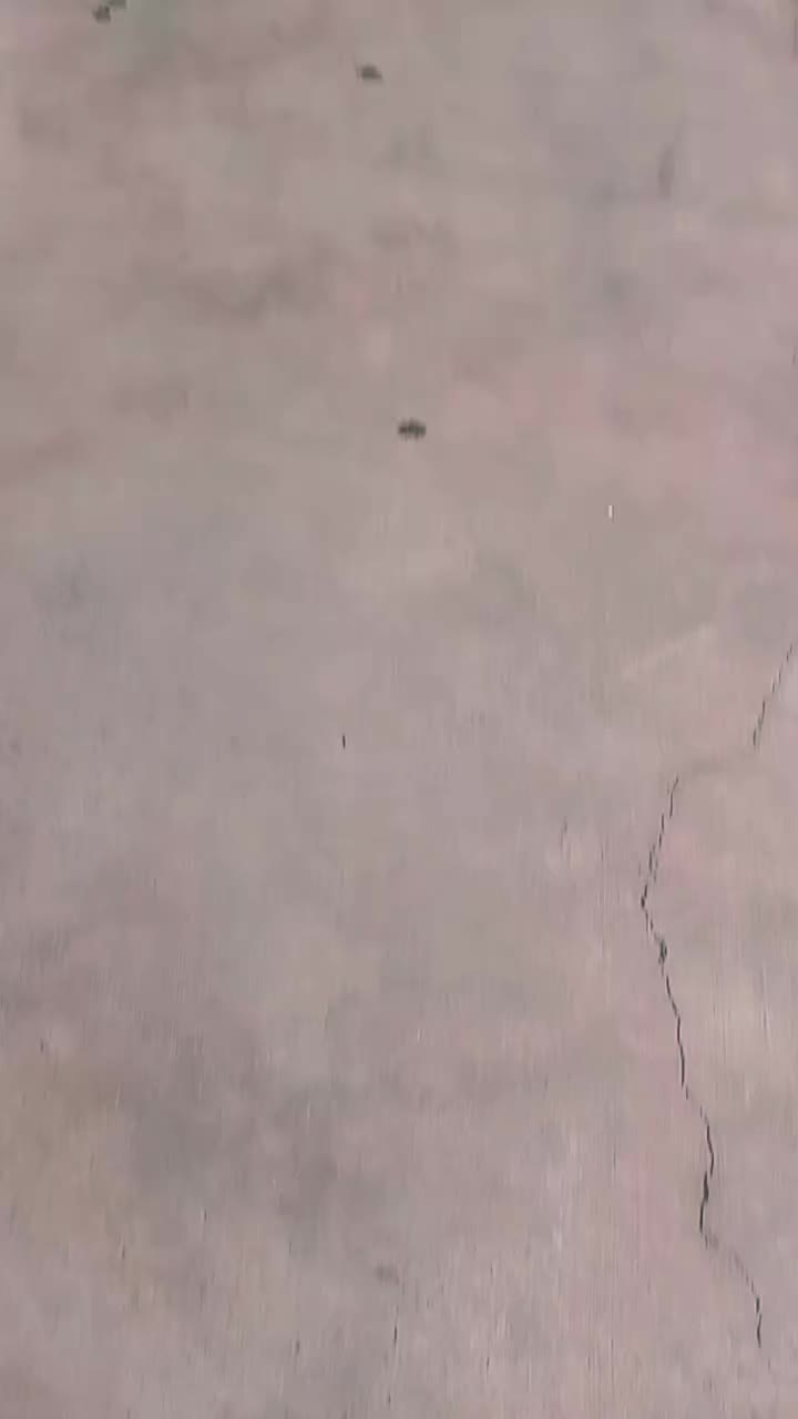 @𝖄𝖔𝖚𝖓𝖌 𝖆𝖗𝖊𝖆 𝖈𝖗𝖊𝖜