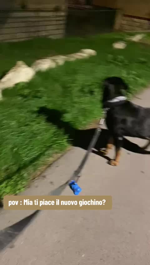 @🩵 GIUSY 🩵