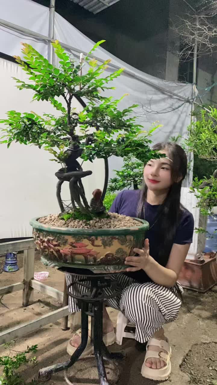 @Khổng La