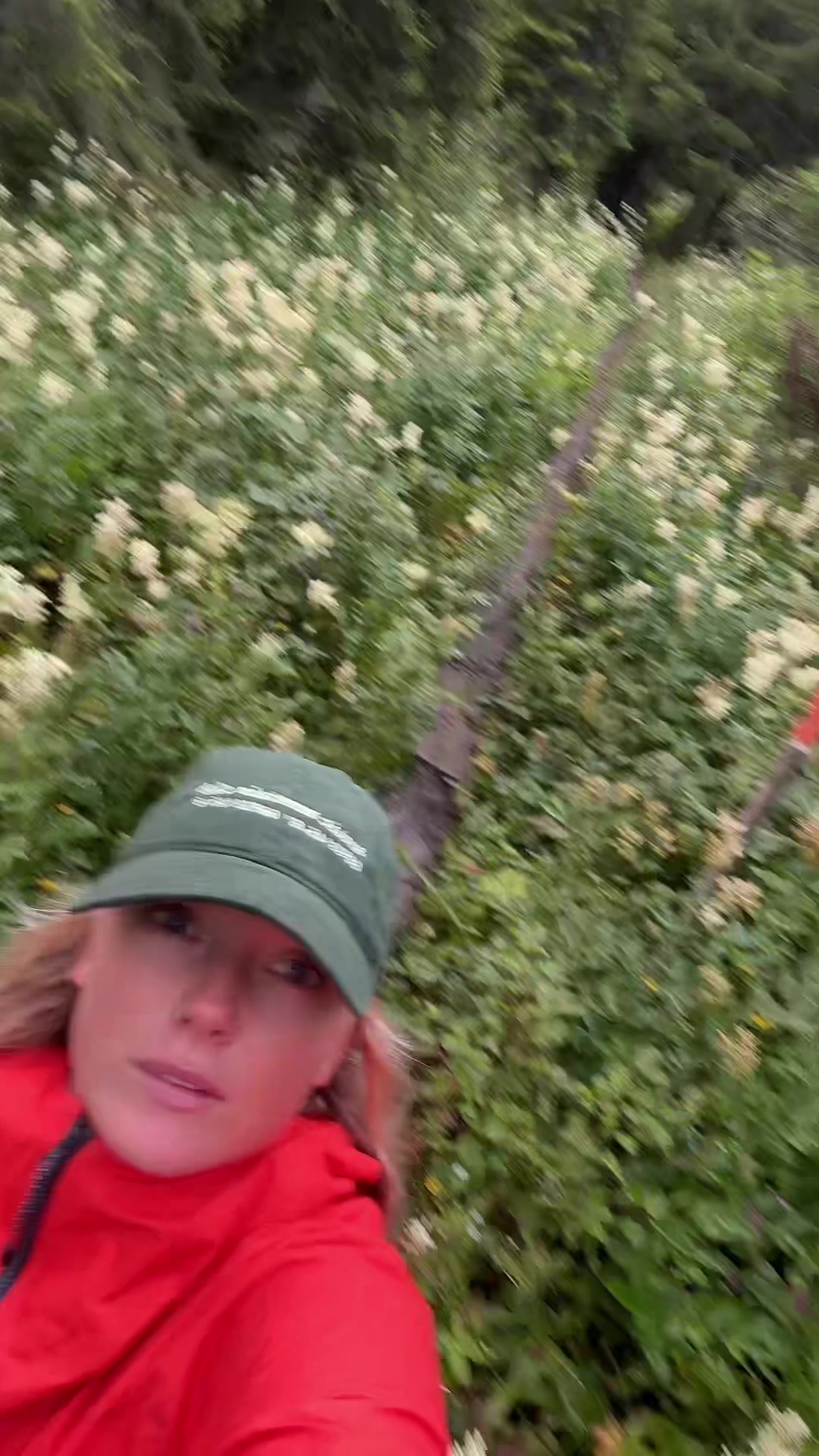 @maloupeterson