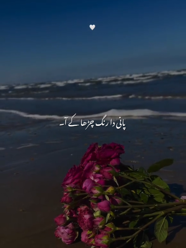 @𝙎𝙤𝙪𝙡𝙞𝙭 🎧