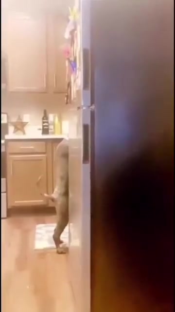 @SCARYVIDEOS