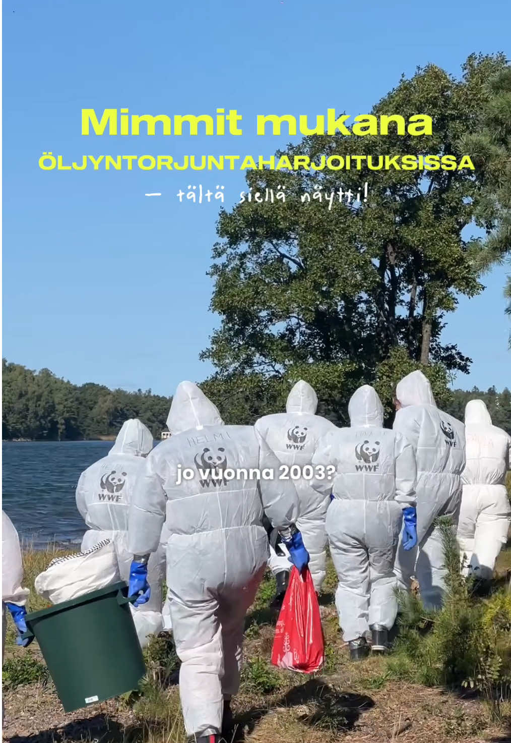 @Mimmit sijoittaa