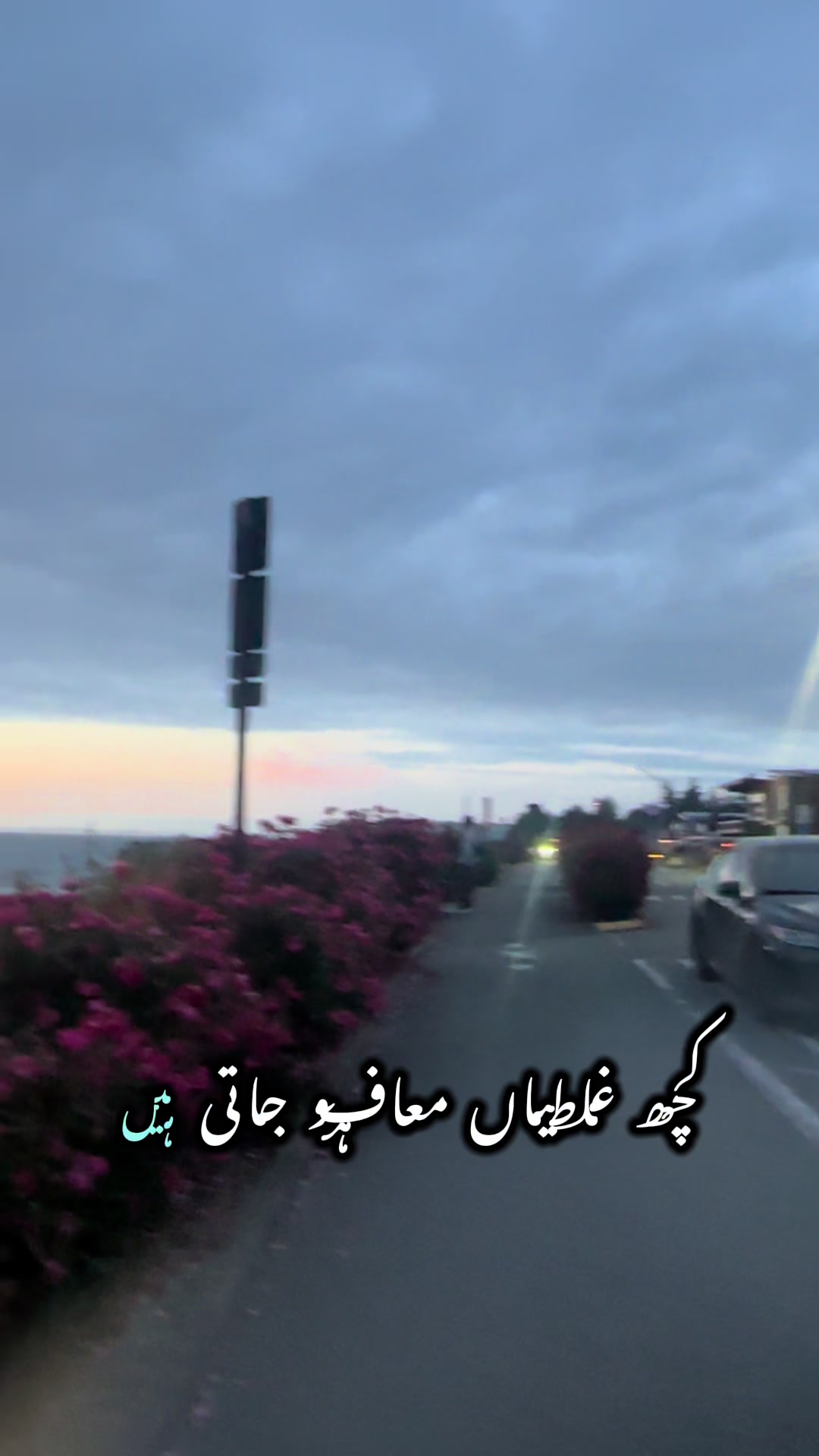 @Syeda-G 007