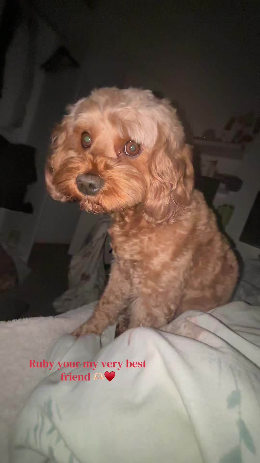 @🥐𝐡𝐥𝐨𝐞 𝐖𝐞𝐬𝐭