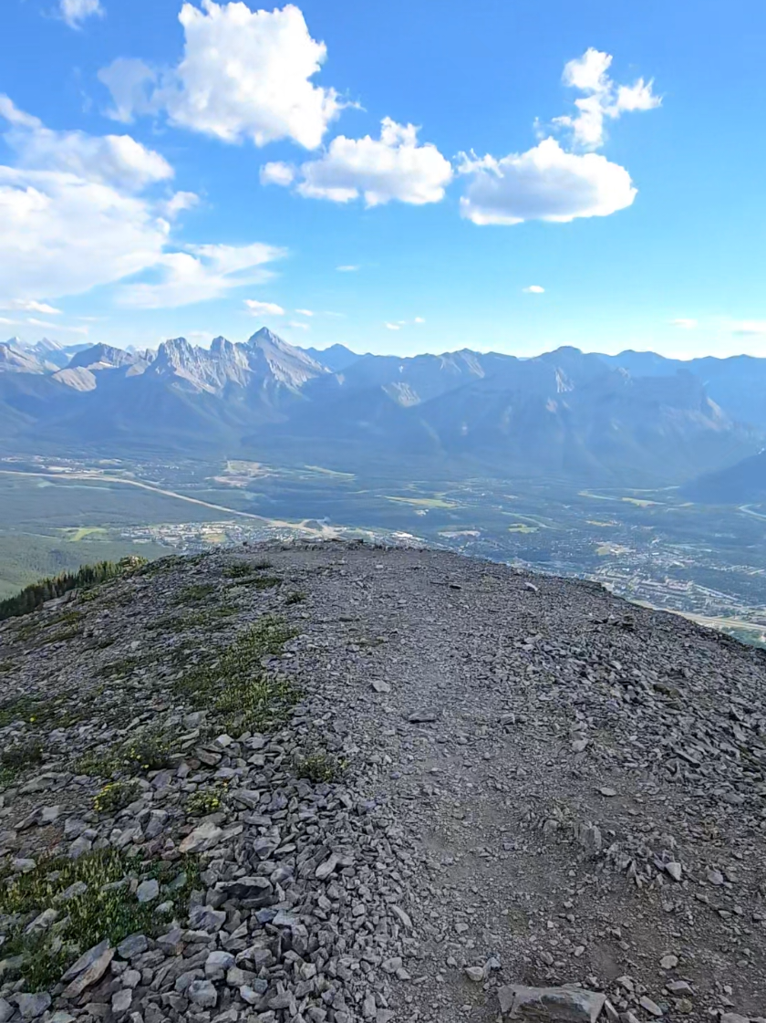 @Banff Trail Running & Wildlife