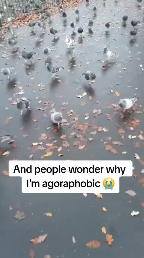 @Tonianne ๐