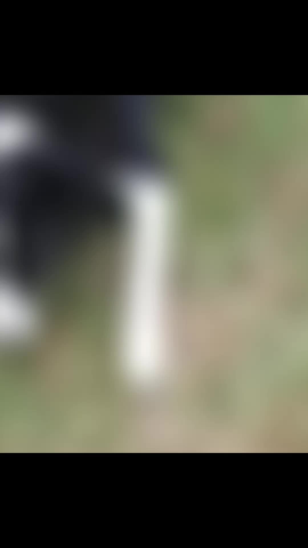 @Bordercollies Anonymous Club