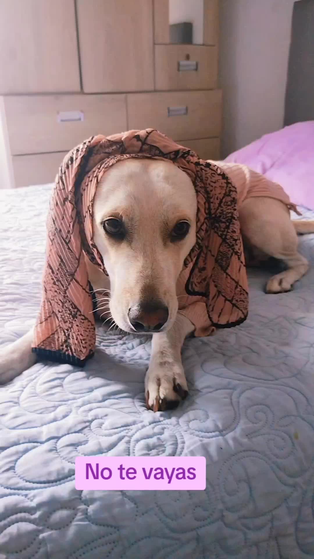 @winnie ❤🦮