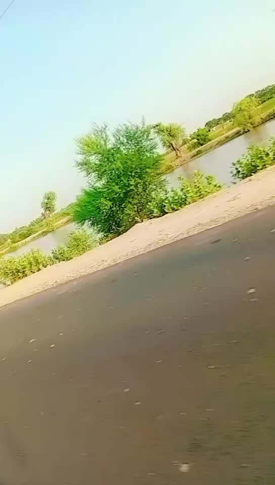 @⚘️ بجلی ☘️