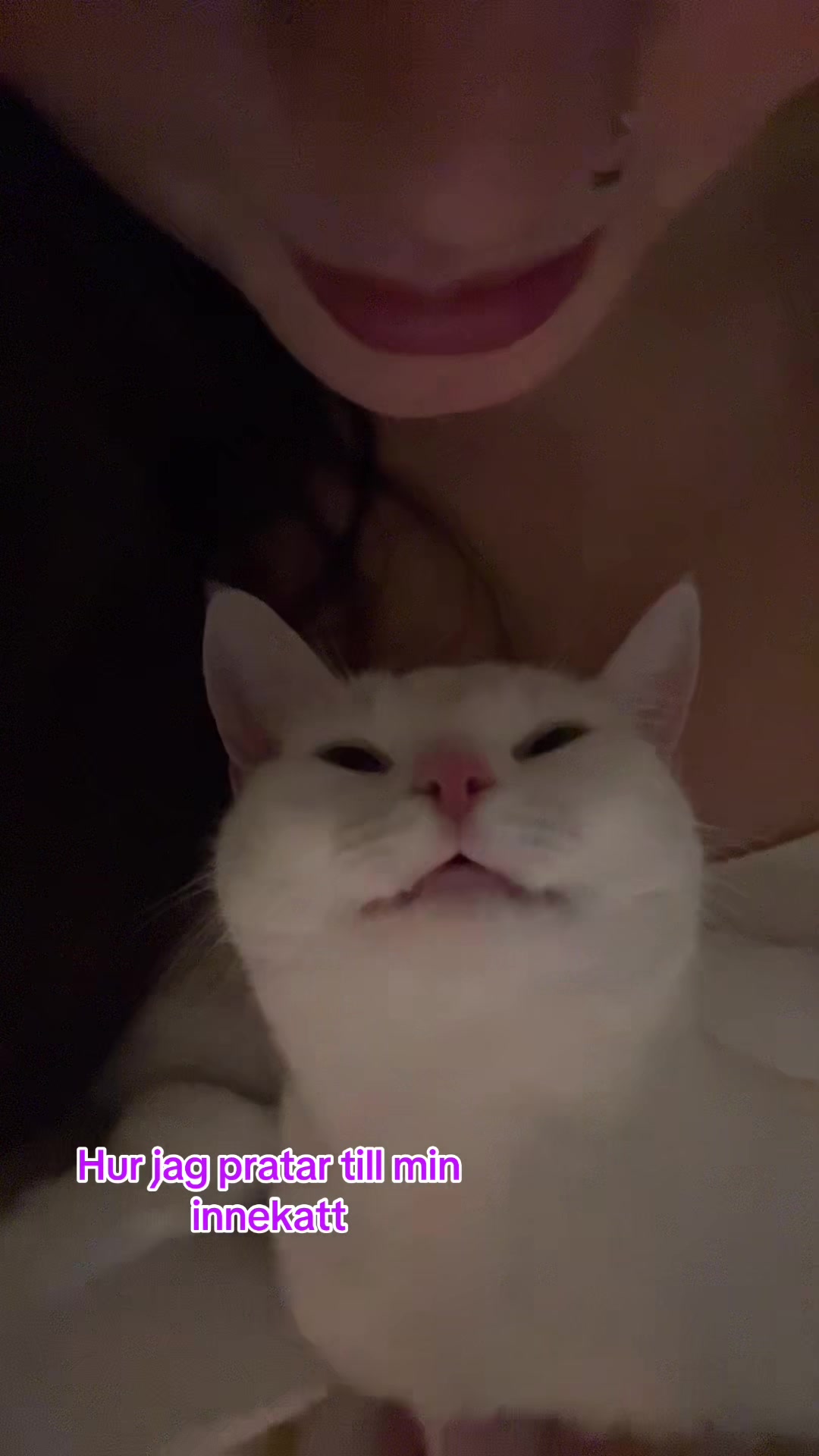 @DagnyLundberg