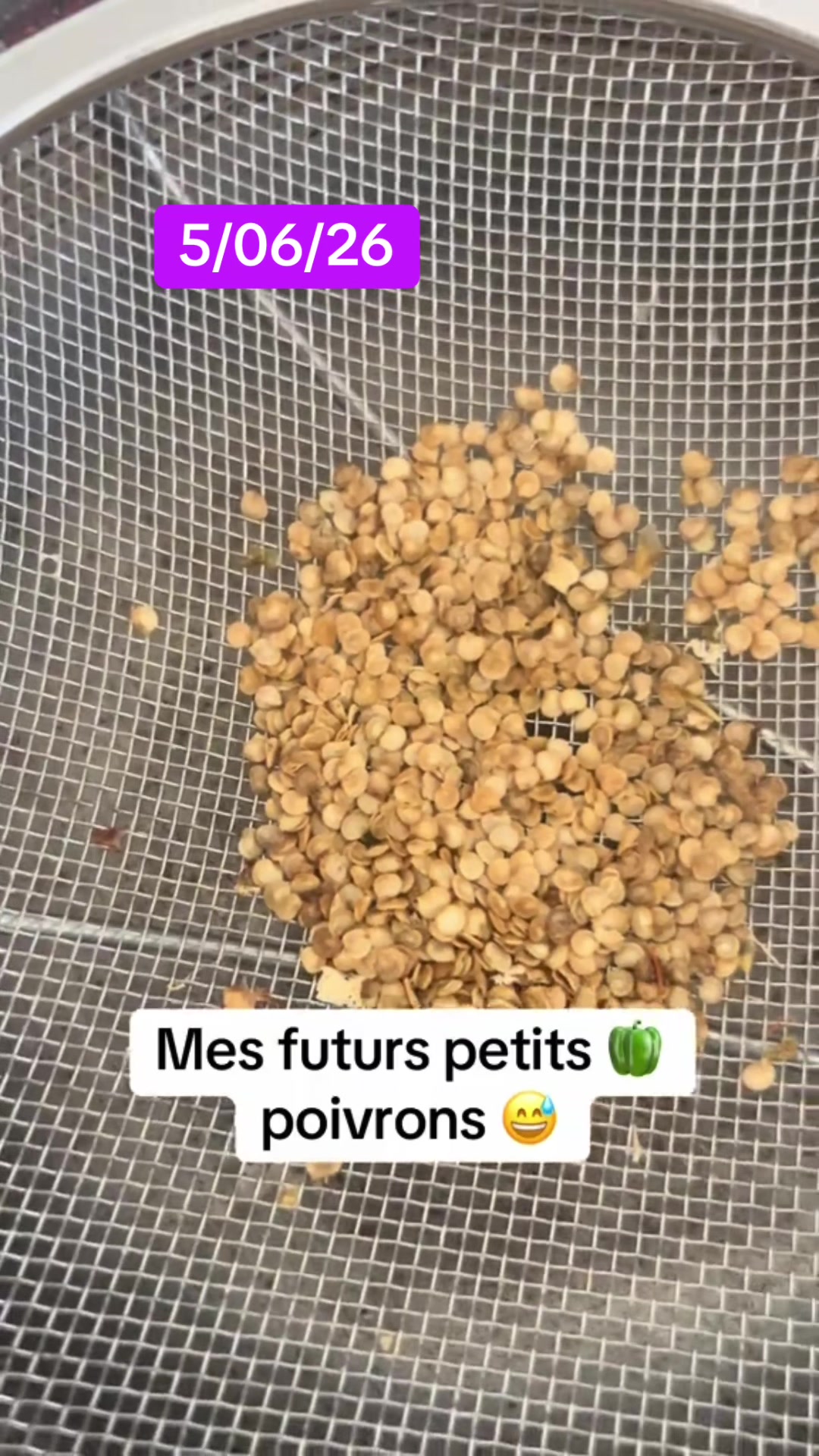 @Parlons peu parlons bien😎